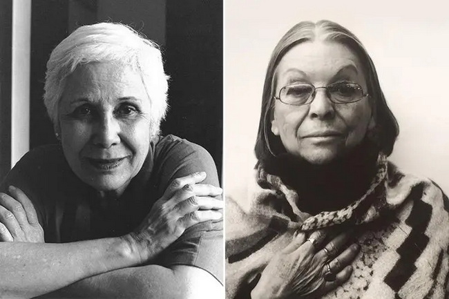两位女性艺术家获2024威尼斯双年展终身成就金狮奖