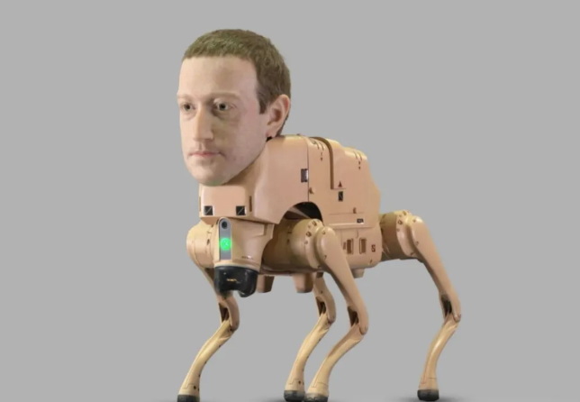 113.jpg